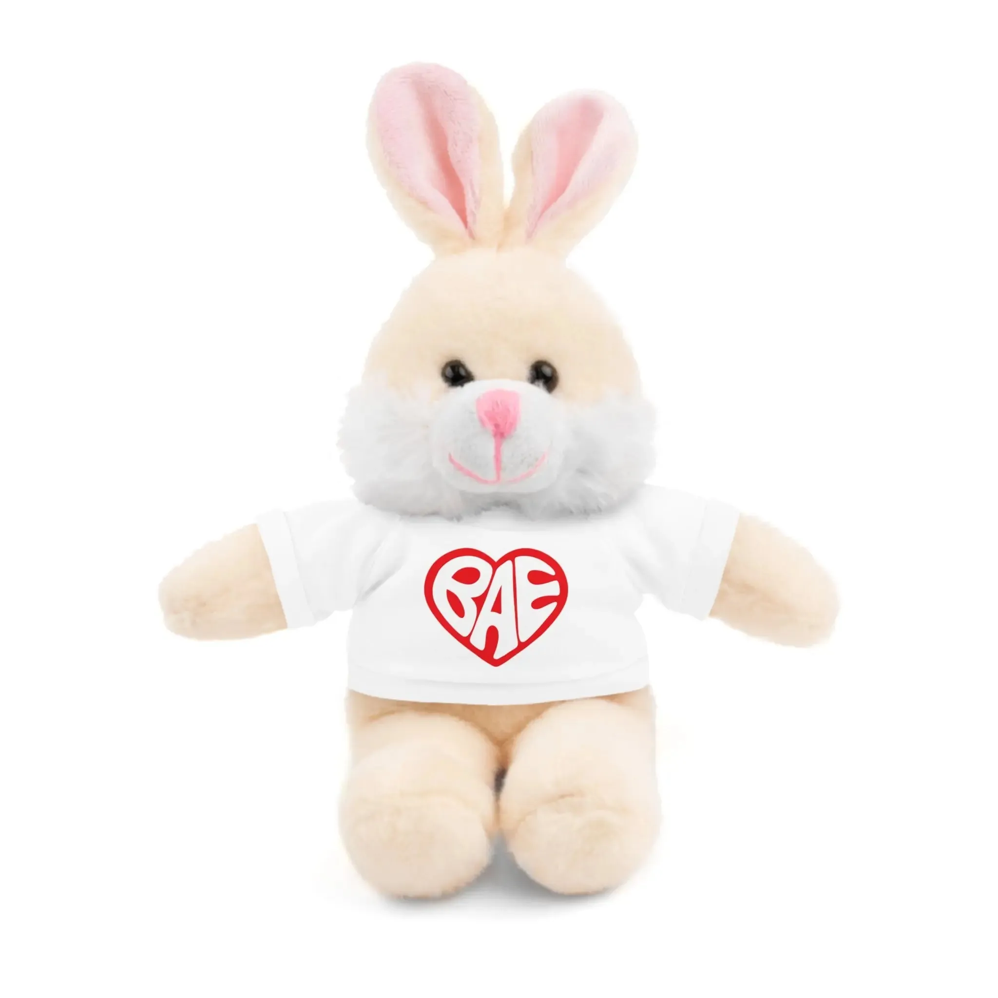Adorable BAE Stuffed Animal Teddy Bear - Ideal Gift