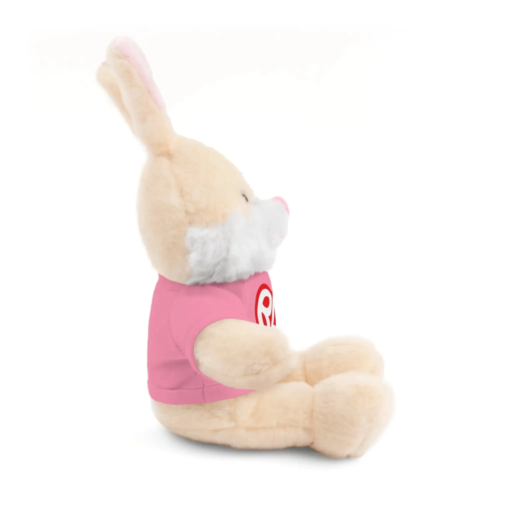 Adorable BAE Stuffed Animal Teddy Bear - Ideal Gift