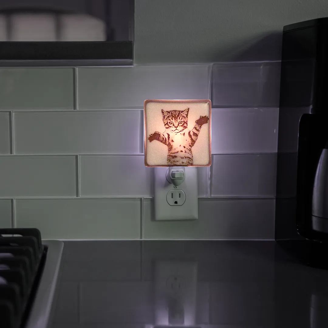 Kitten Attack Night Light