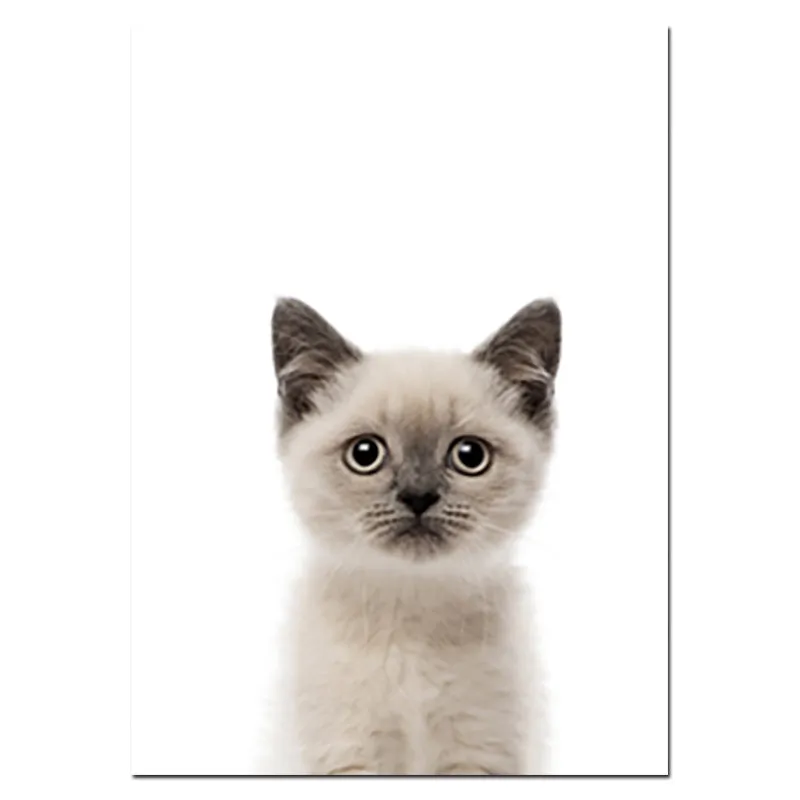 Nursery Animal Prints Cute Baby Animals