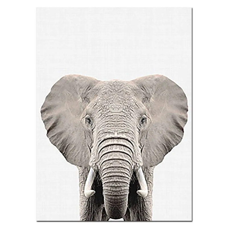 Nursery Animal Prints Cute Baby Animals