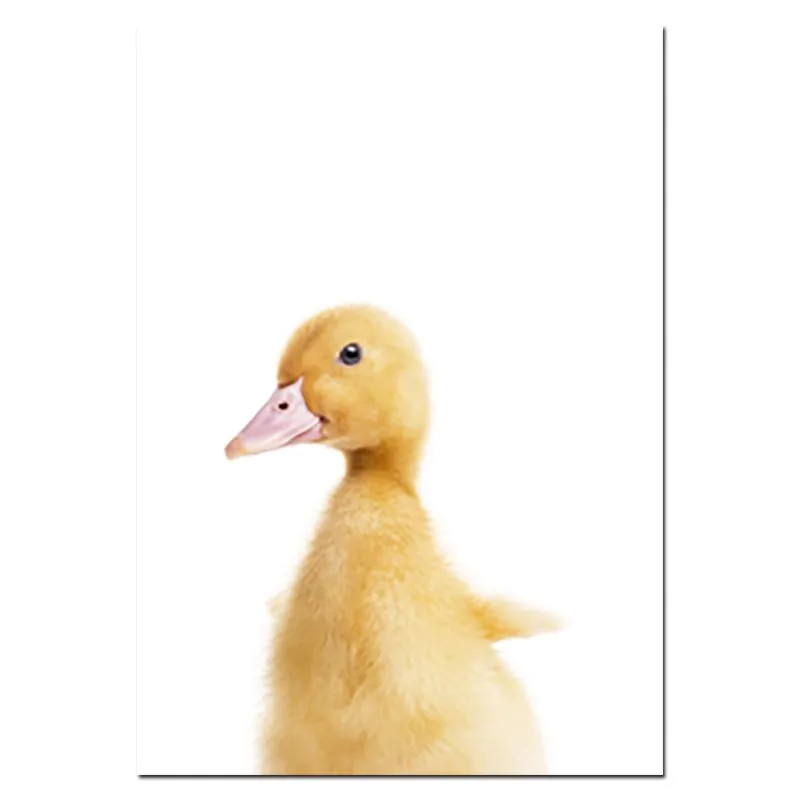 Nursery Animal Prints Cute Baby Animals