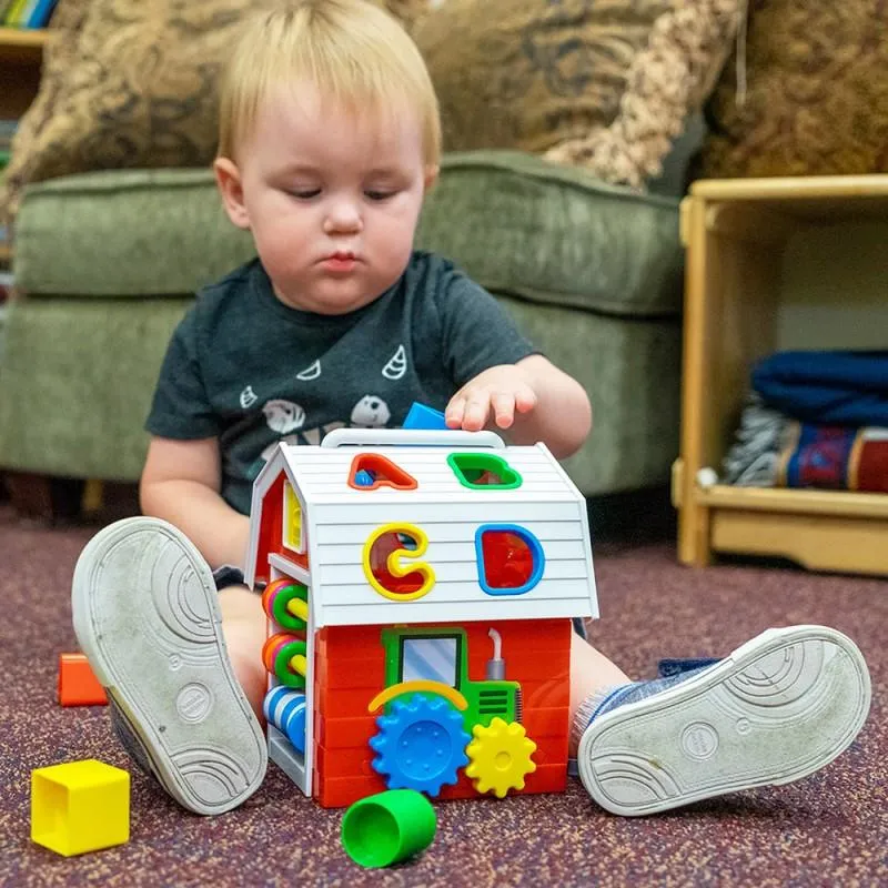 The Learning Journey Farm Activity Cube