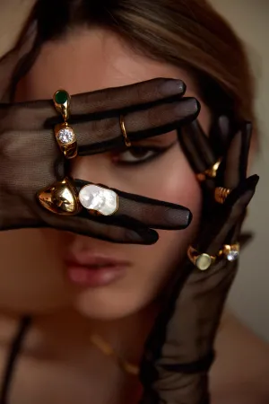 The Paulina Ring