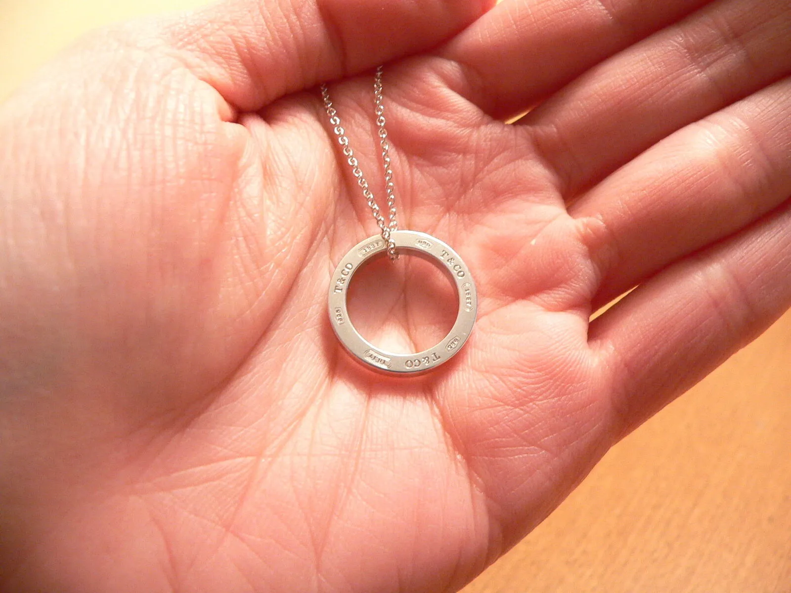 Tiffany & Co 1837 Circle Necklace Pendant Charm Chain Classic Gift Love T and Co