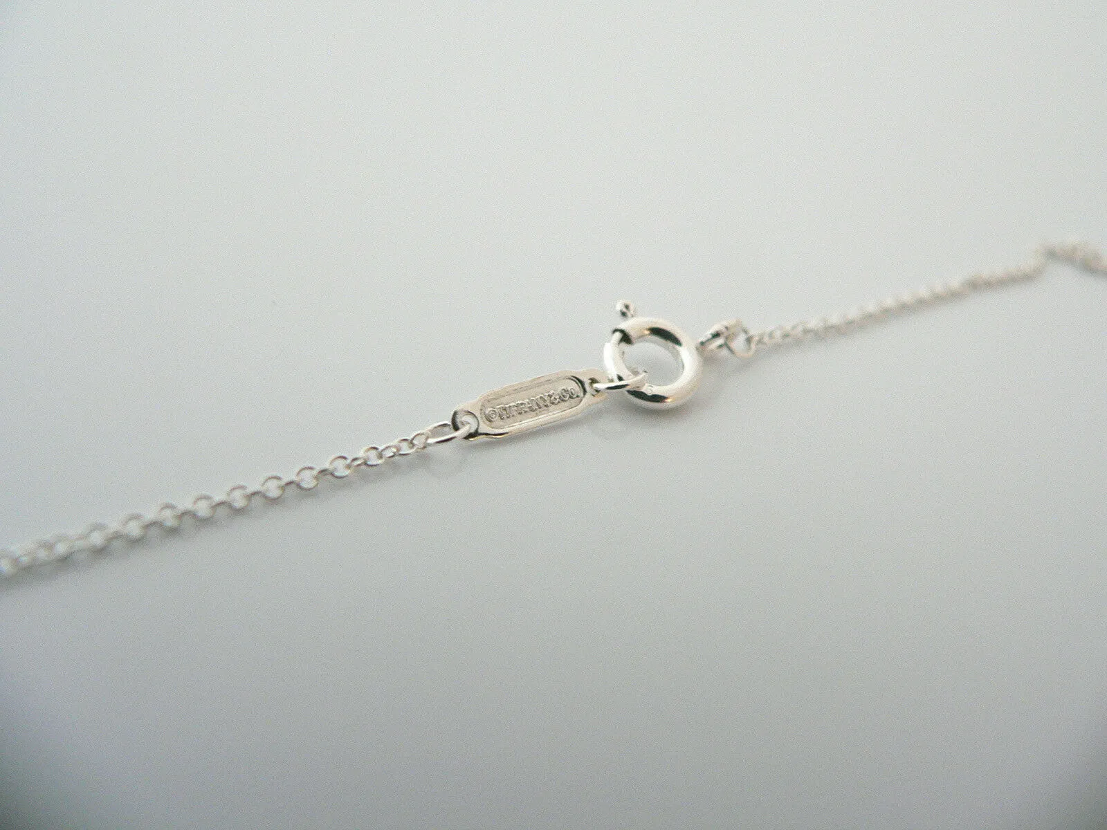 Tiffany & Co Palm Tree Necklace Pendant Charm Chain Nature Lover Summer Gift