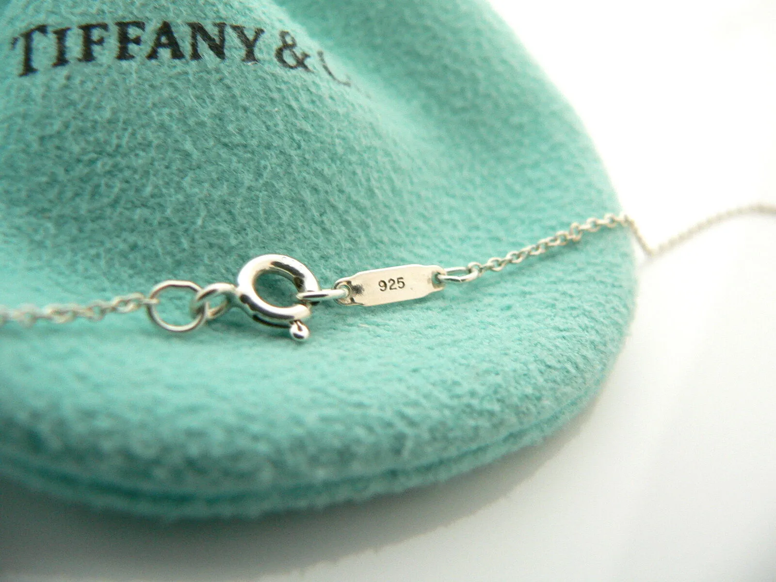 Tiffany & Co Round Necklace Pendant Double Circle Charm Chain Love Gift Pouch