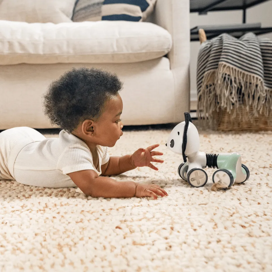 Tiny Love Décor Rolling Toy - Black & White